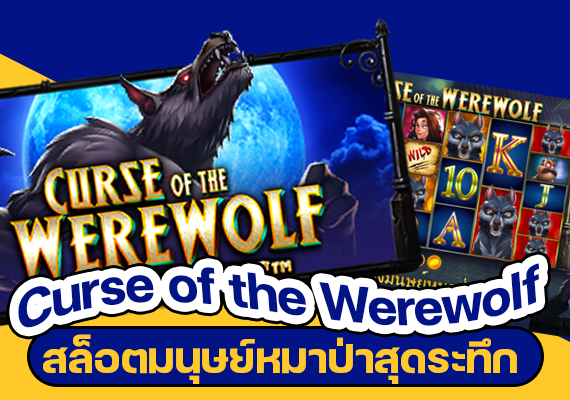 Curse of the Werewolf สล็อตมนุษย์หมาป่าสุดระทึก กวาดเงินรางวัลกลับบ้านก้อนโต